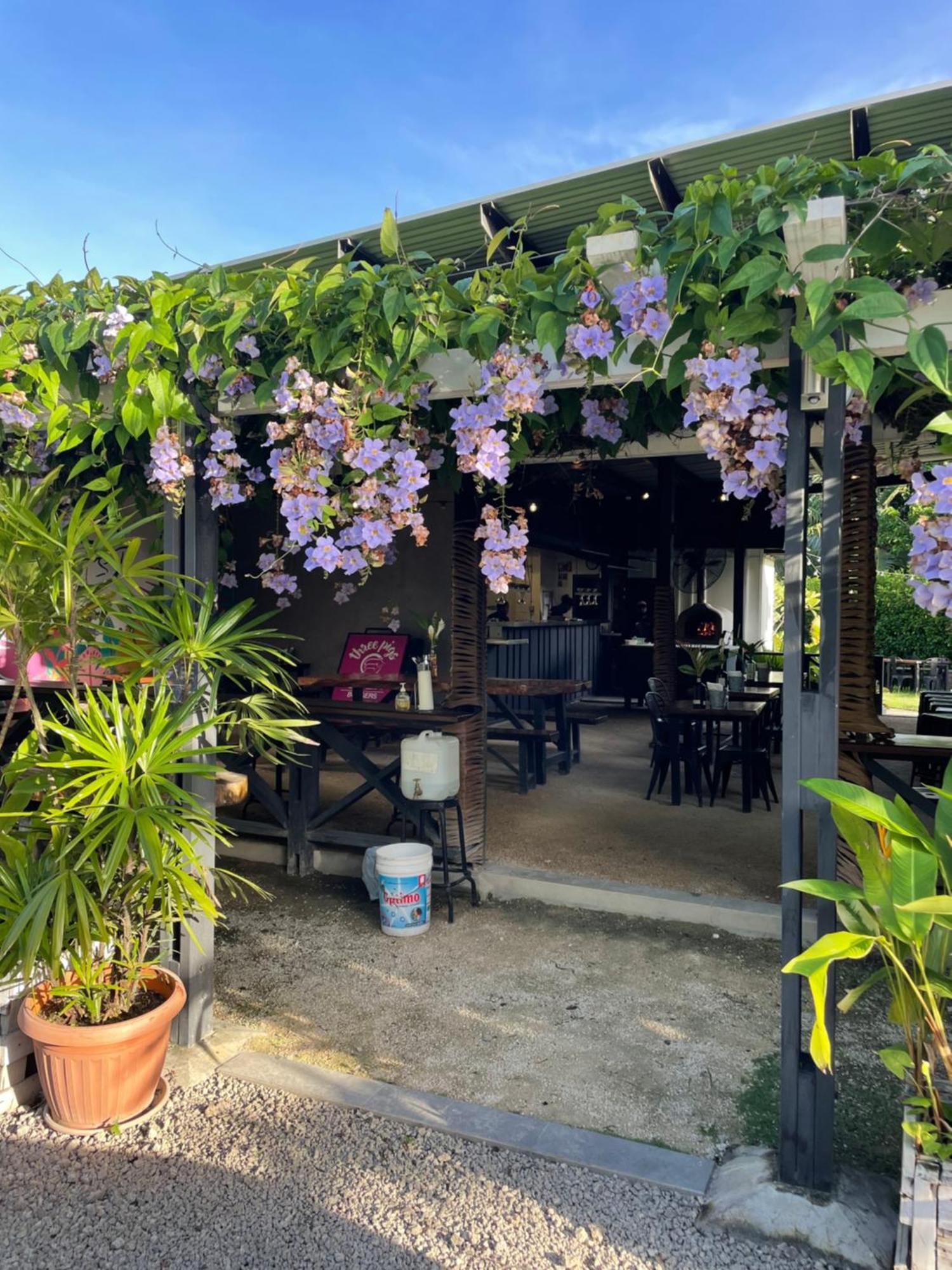 Nasama Resort Port Vila Dış mekan fotoğraf